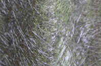 Fiddington Sands fibreglass roof work